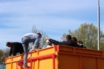 IMG_7593.JPG
