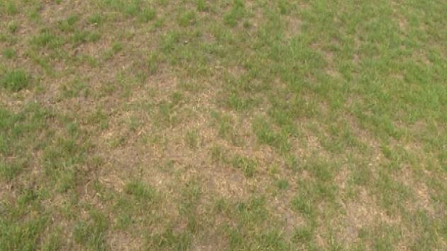 Veld Rotte droge-velden – VV Serooskerke